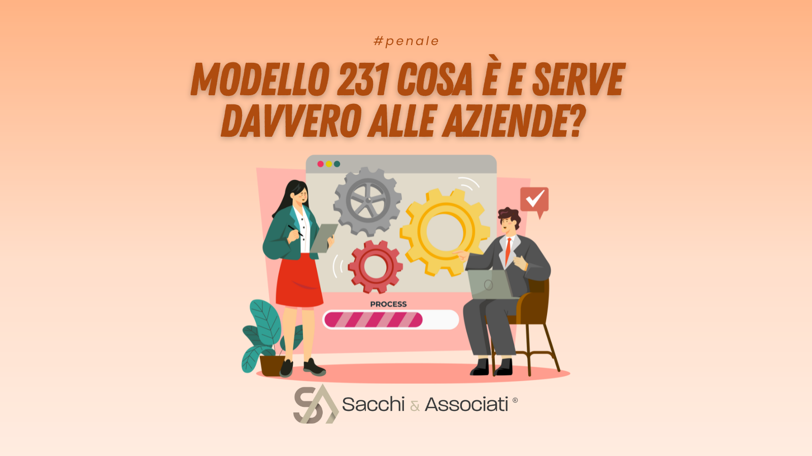 modello 231